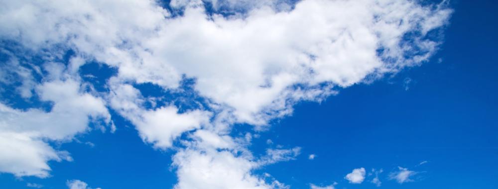 Young woman with groceries in the kitchen.jpg
